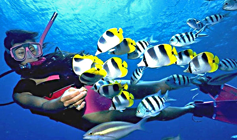 潛水常被問(wèn)到的幾個(gè)問(wèn)題