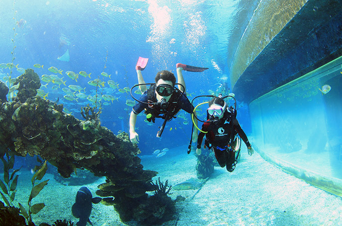 學(xué)潛水要注意什么