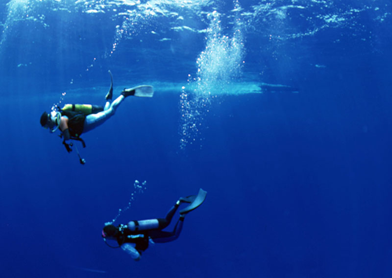 珊瑚類(lèi)受傷中毒