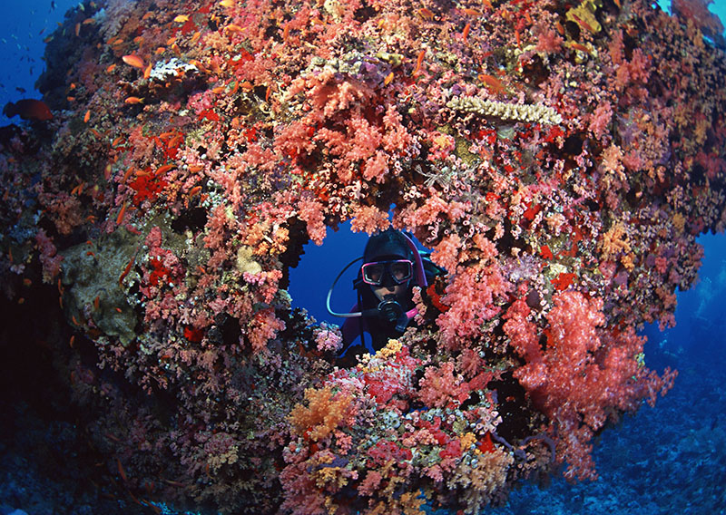 夜潛應該注意什么