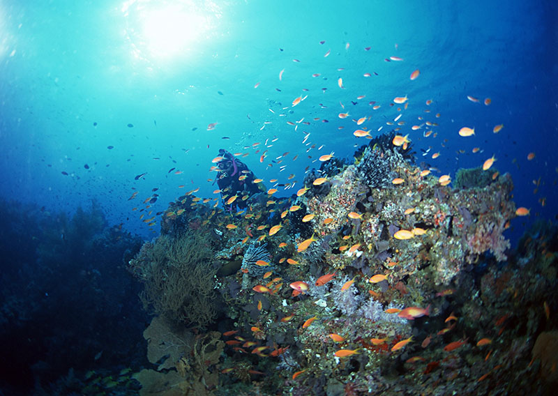 潛水有無(wú)身體條件和年齡限制？