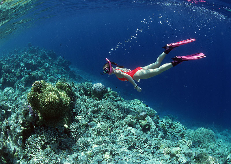 自由潛的七種類(lèi)型