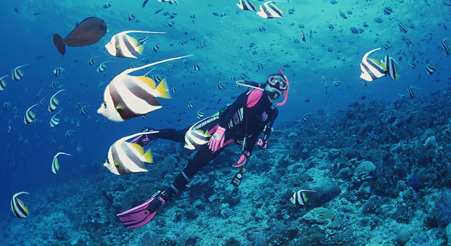 懷孕能潛水嗎？