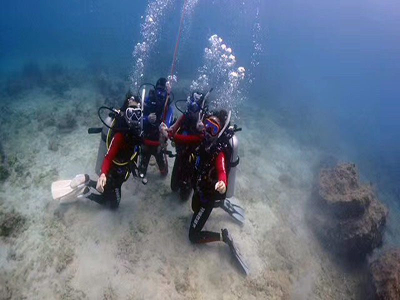 你的百潛是不是白潛了？