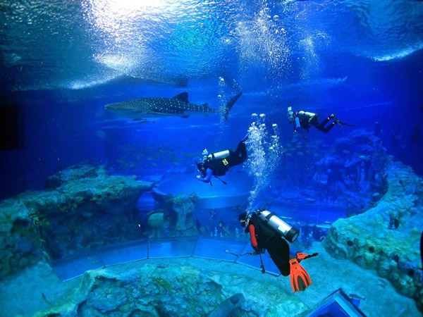 潛在水里，學(xué)做一條靜靜的魚(yú)