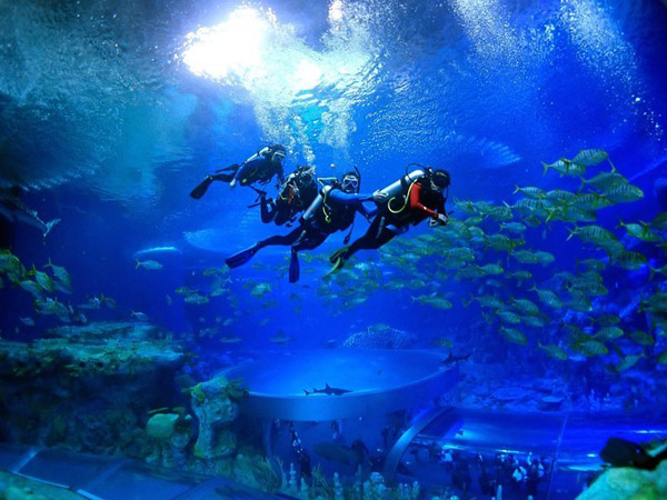 潛在水里，學(xué)做一條靜靜的魚(yú)