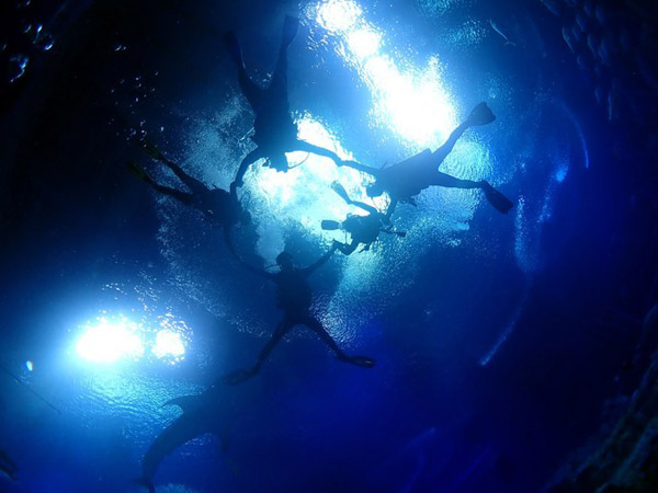 潛在水里，學(xué)做一條靜靜的魚(yú)