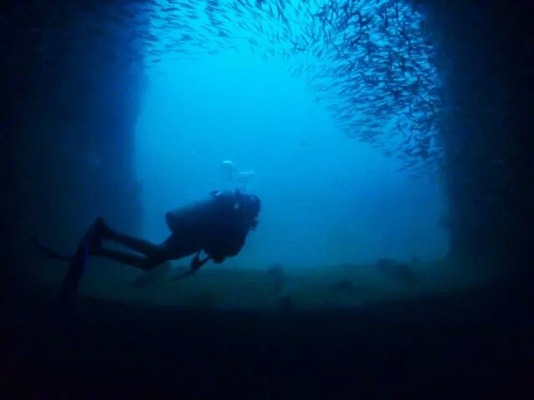 潛水拍照新姿勢，放下你的剪刀手，我們來(lái)這樣拍
