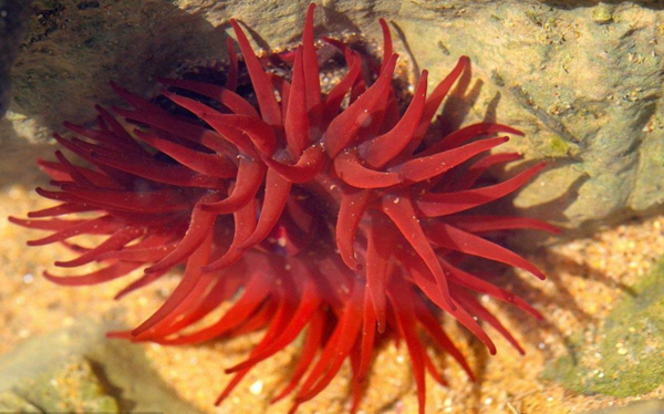 等指?？? title=