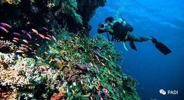 11個(gè)你不得不去的印尼頂級潛點(diǎn)