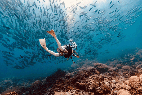 潛水之間的區別