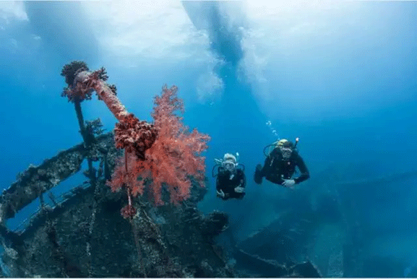 成為潛水員之前的你，是不是也問(wèn)過(guò)這些問(wèn)題？