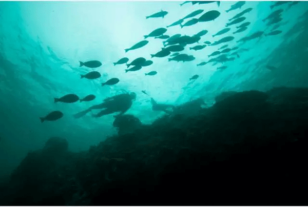 成為潛水員之前的你，是不是也問(wèn)過(guò)這些問(wèn)題？