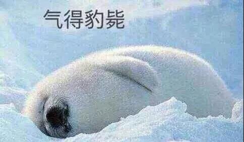 原來(lái)你是這樣的潛水員妹子！