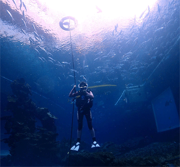 潛水常見(jiàn)問(wèn)題，原來(lái)潛水沒(méi)你想的那么難