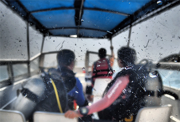 潛水常見(jiàn)問(wèn)題，原來(lái)潛水沒(méi)你想的那么難