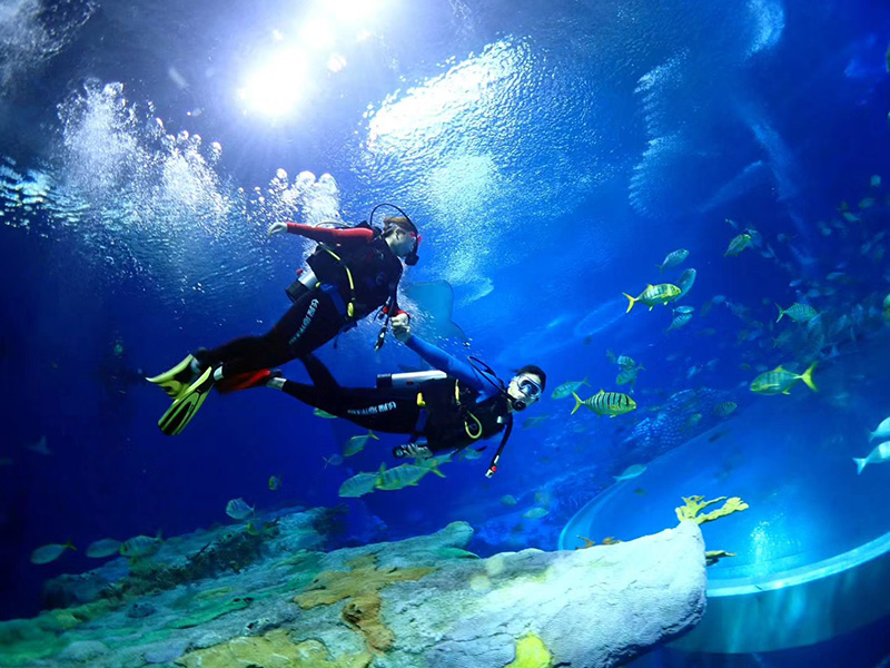 珠海長(cháng)隆海洋王國德國寶華壓縮機投入使用