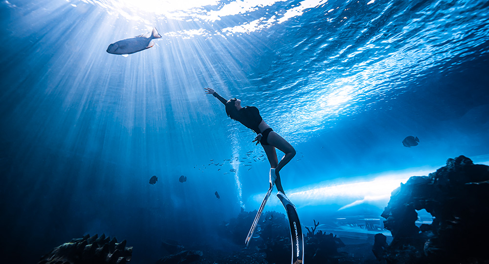 三亞水下攝影打卡地-蒂鉑海洋世界水攝項目上線(xiàn)了