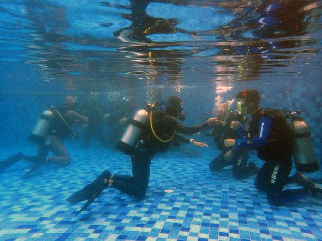 除了俯瞰大地的飛翔，還有潛入海底的翱翔。