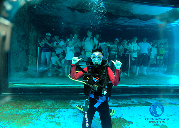 珠海長(cháng)隆海洋王國啟動(dòng)海豚島潛水